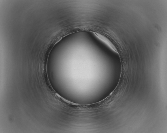 X0000110980697200907022056