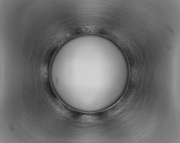 X0000110980699200907022056