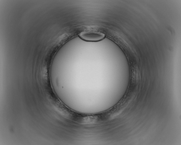 X0000110980700200907022056