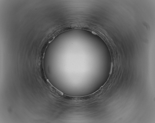 X0000110980701200907022056