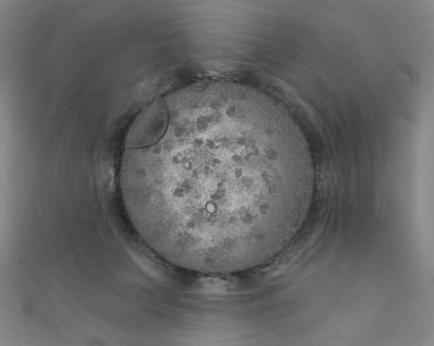 X0000110980703200907022056