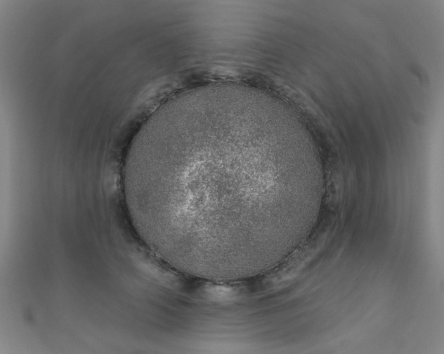 X0000110980706200907022056