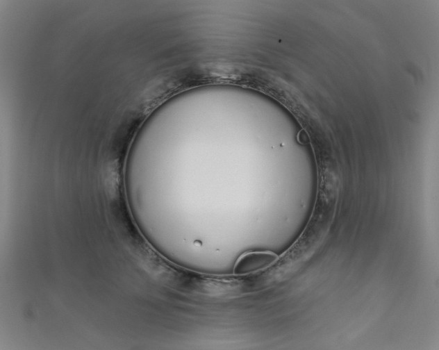 X0000110980707200907022056