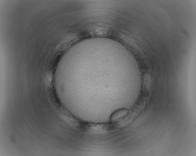 X0000110980709200907022056