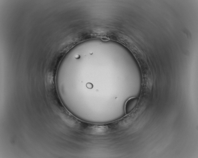 X0000110980711200907022056