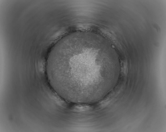 X0000110980712200907022056