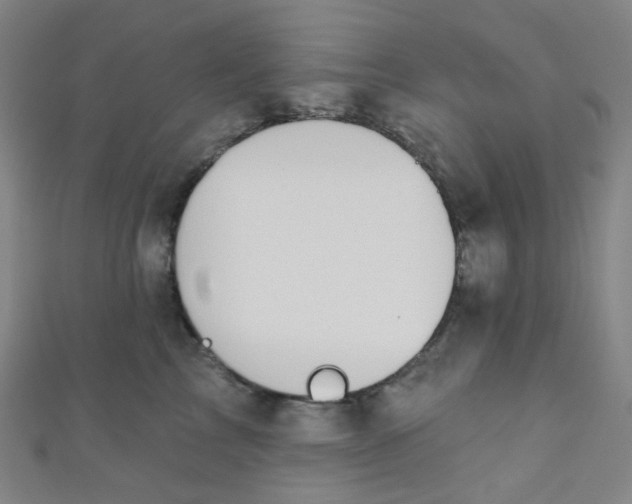 X0000110980713200907022056