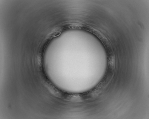 X0000110980715200907022056