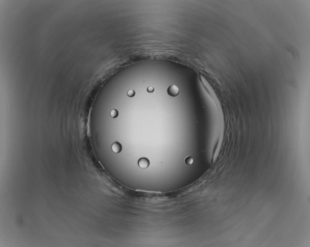 X0000110980716200907022056