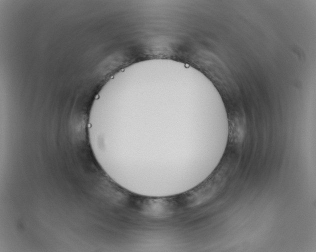 X0000110980717200907022056