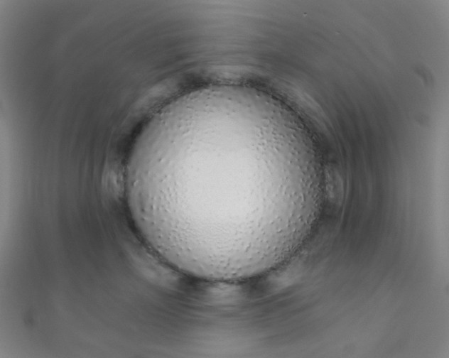 X0000110980718200907022056