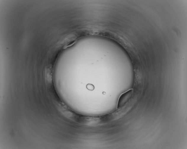 X0000110980719200907022056