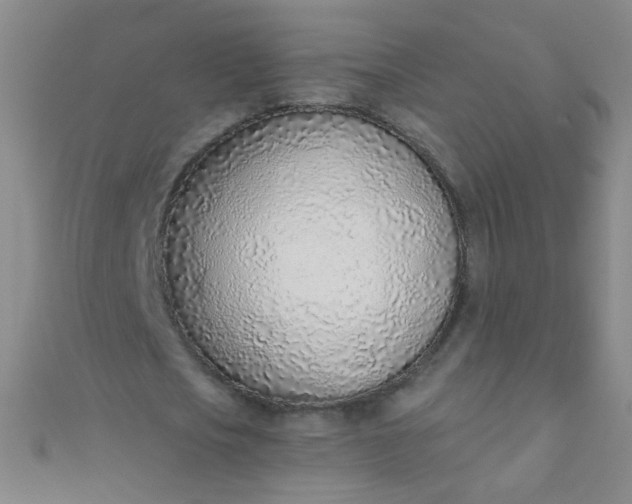 X0000110980721200907022055