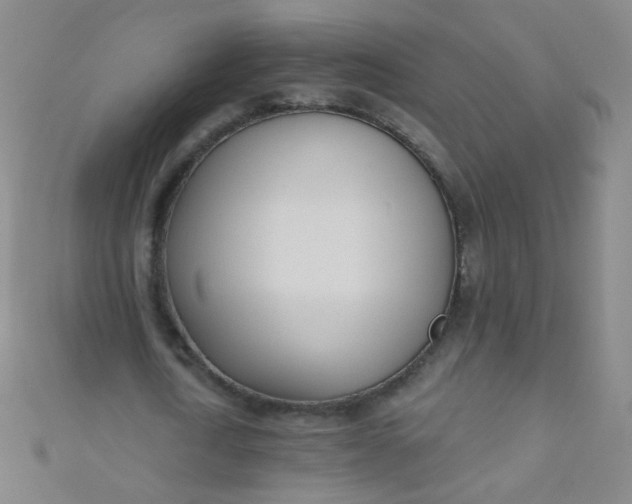 X0000110980722200907022055