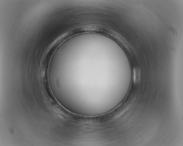 X0000110980723200907022055