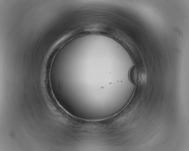 X0000110980724200907022055