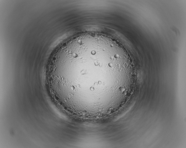 X0000110980725200907022055