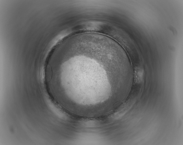 X0000110980726200907022055