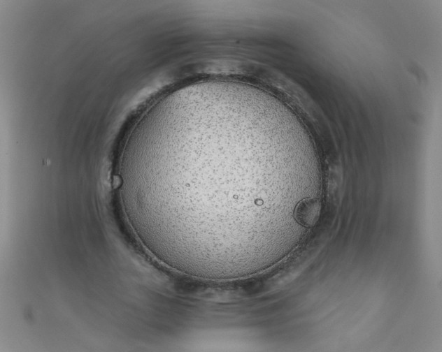 X0000110980727200907022055