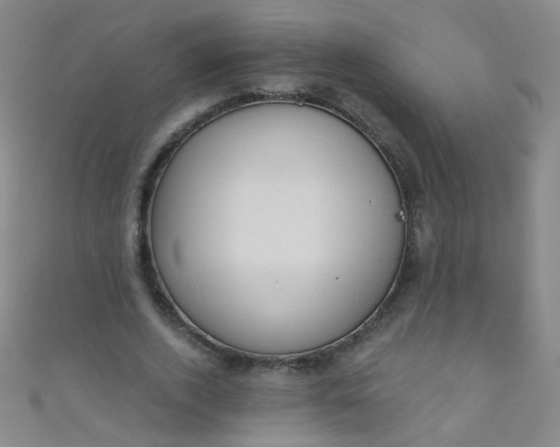 X0000110980728200907022055