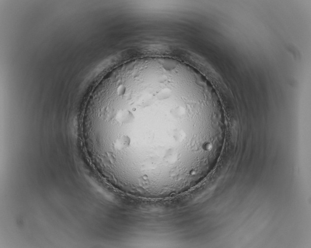 X0000110980729200907022055