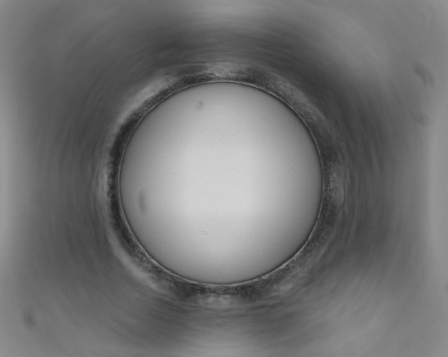 X0000110980730200907022055