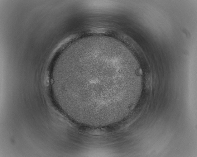 X0000110980731200907022055