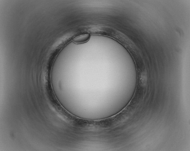 X0000110980732200907022055