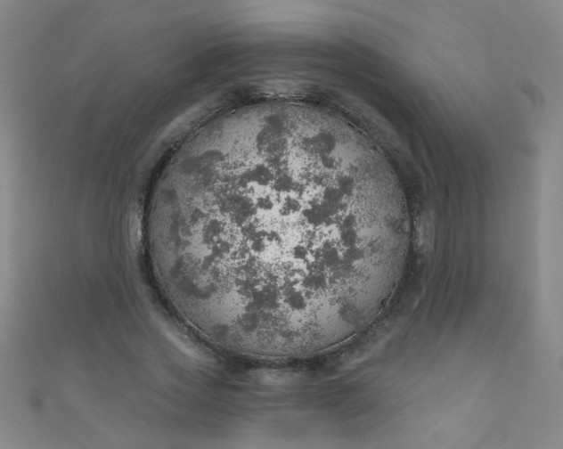 X0000110980733200907022055