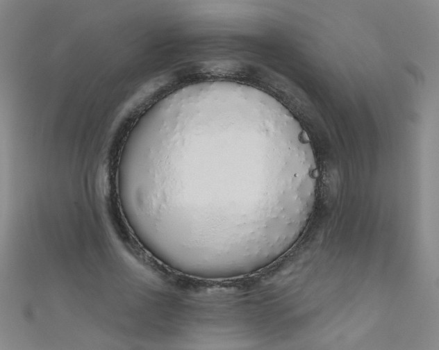 X0000110980734200907022055