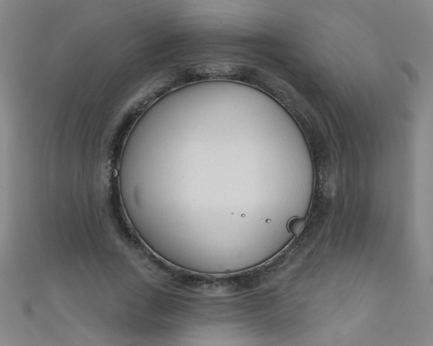 X0000110980735200907022055