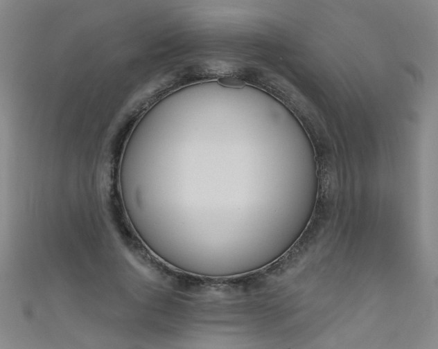 X0000110980736200907022055