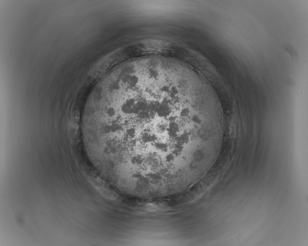 X0000110980737200907022055