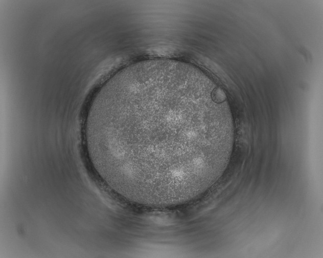 X0000110980738200907022055