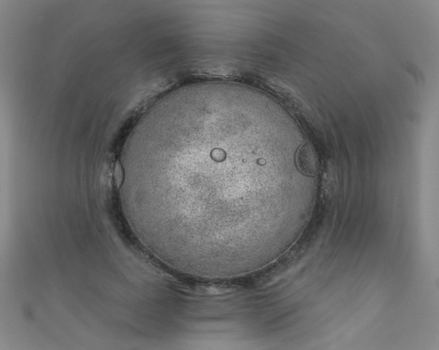 X0000110980739200907022055