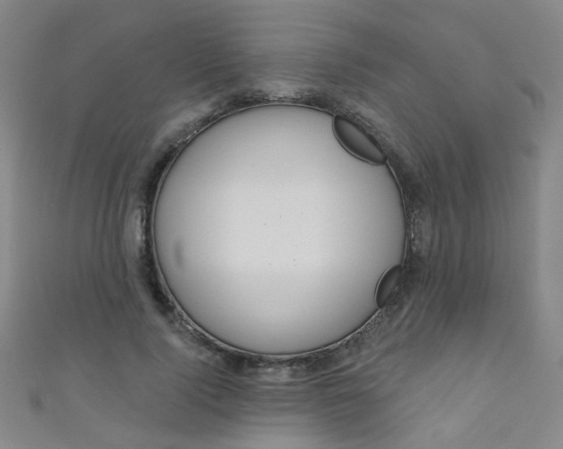 X0000110980740200907022055