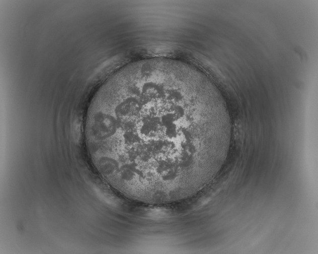 X0000110980741200907022055