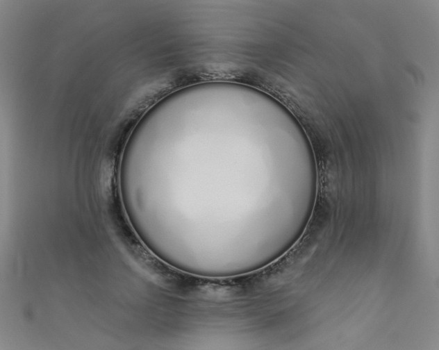 X0000110980742200907022055