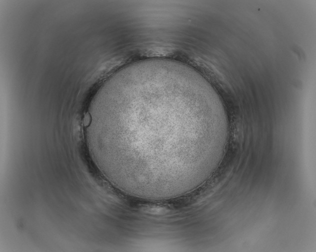 X0000110980743200907022055