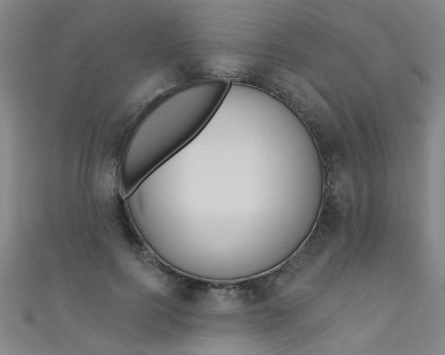 X0000110980744200907022055