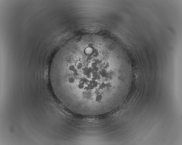 X0000110980745200907022055