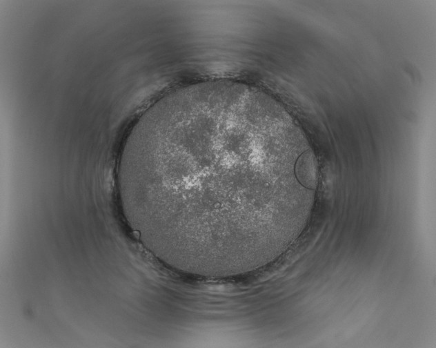 X0000110980746200907022055