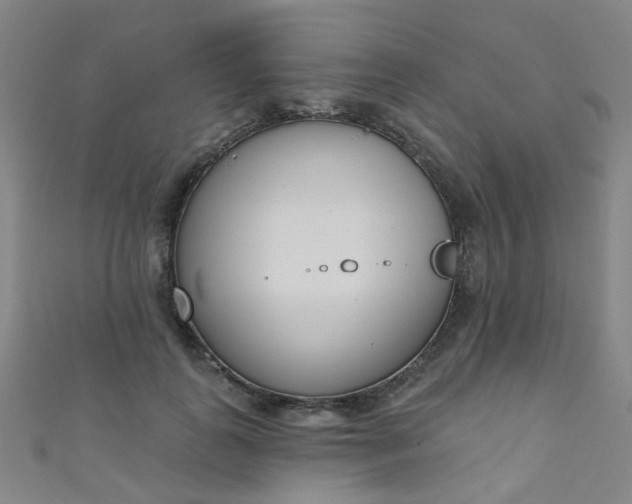 X0000110980747200907022055