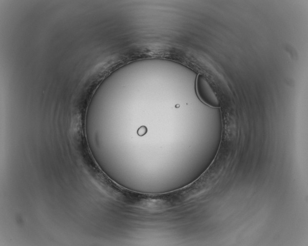 X0000110980748200907022055