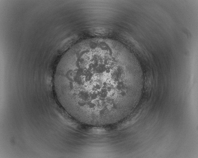 X0000110980749200907022055