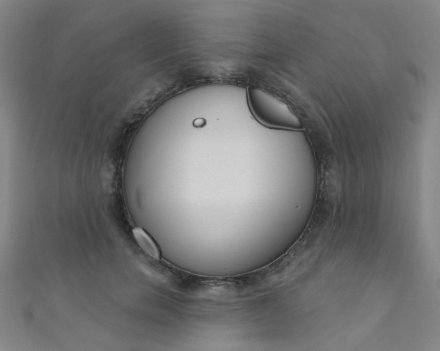 X0000110980750200907022055