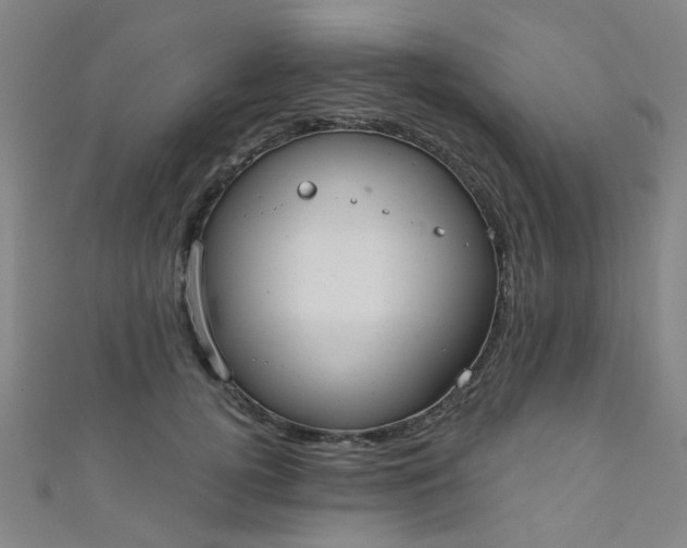 X0000110980752200907022055