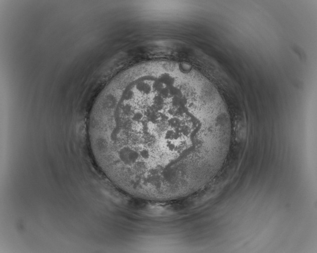 X0000110980753200907022055