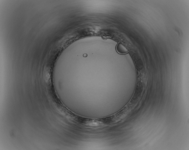 X0000110980754200907022055