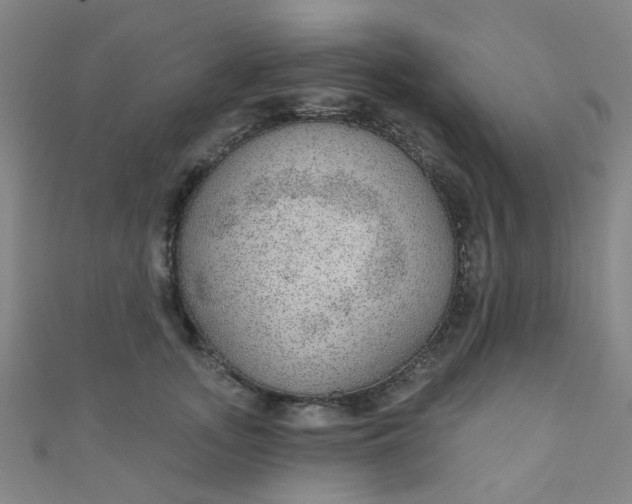 X0000110980755200907022056